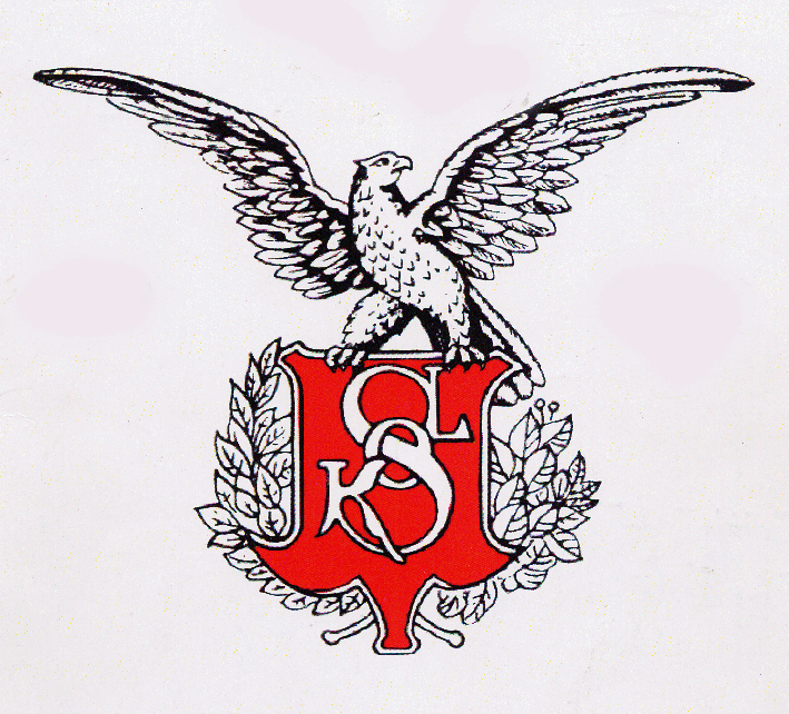 sokol falcon